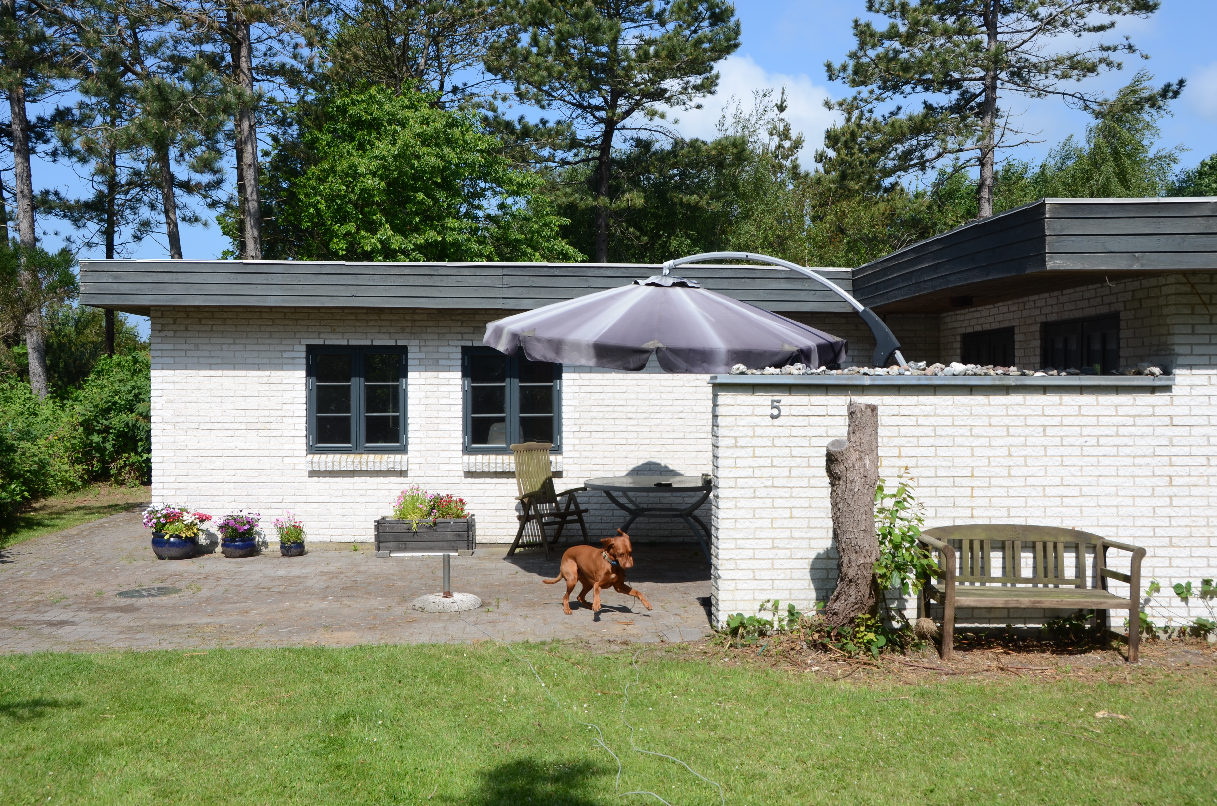 Forside af huset